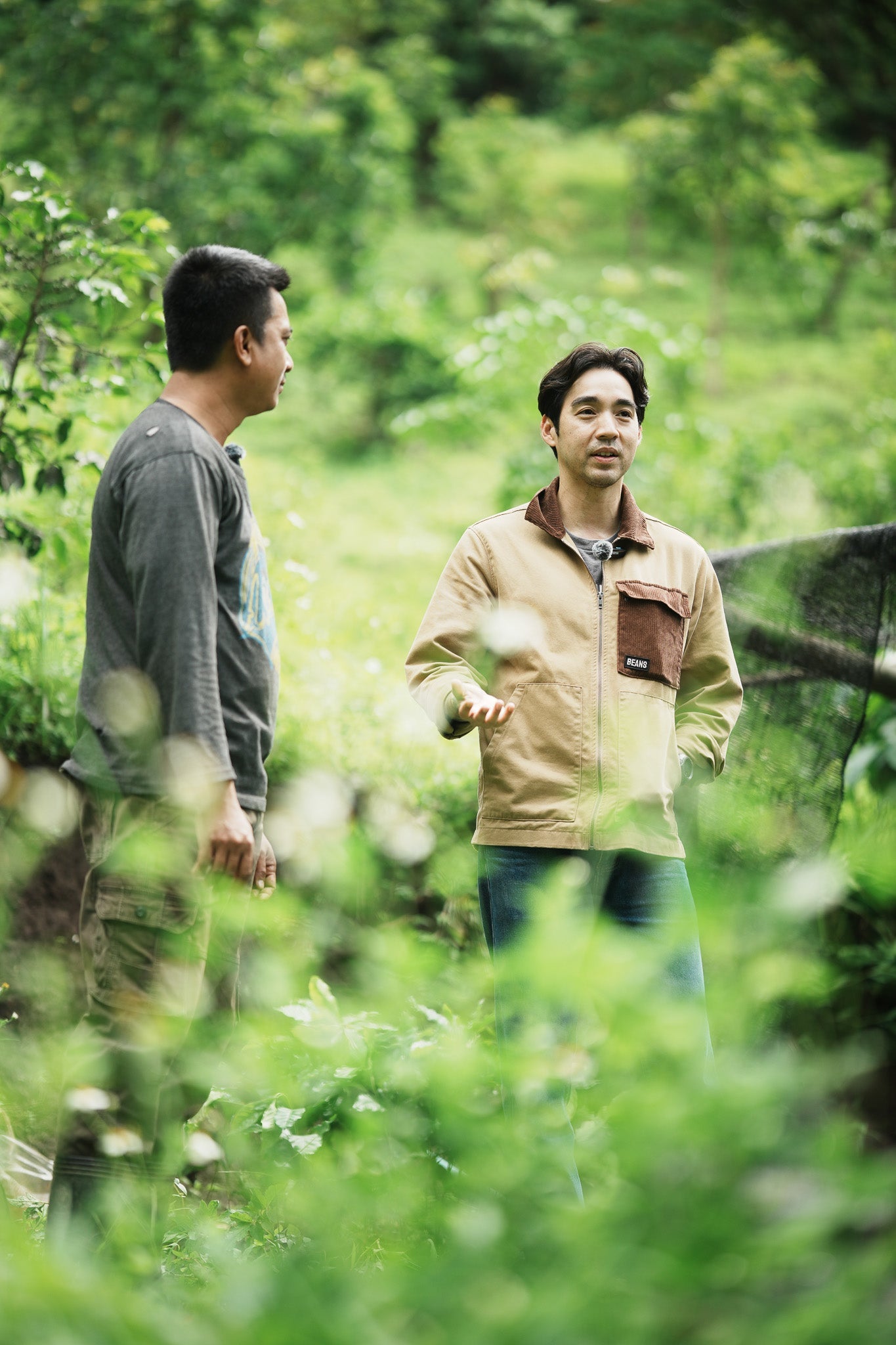 Reviving the Tree: How to Rejuvenate Aging Coffee Plants