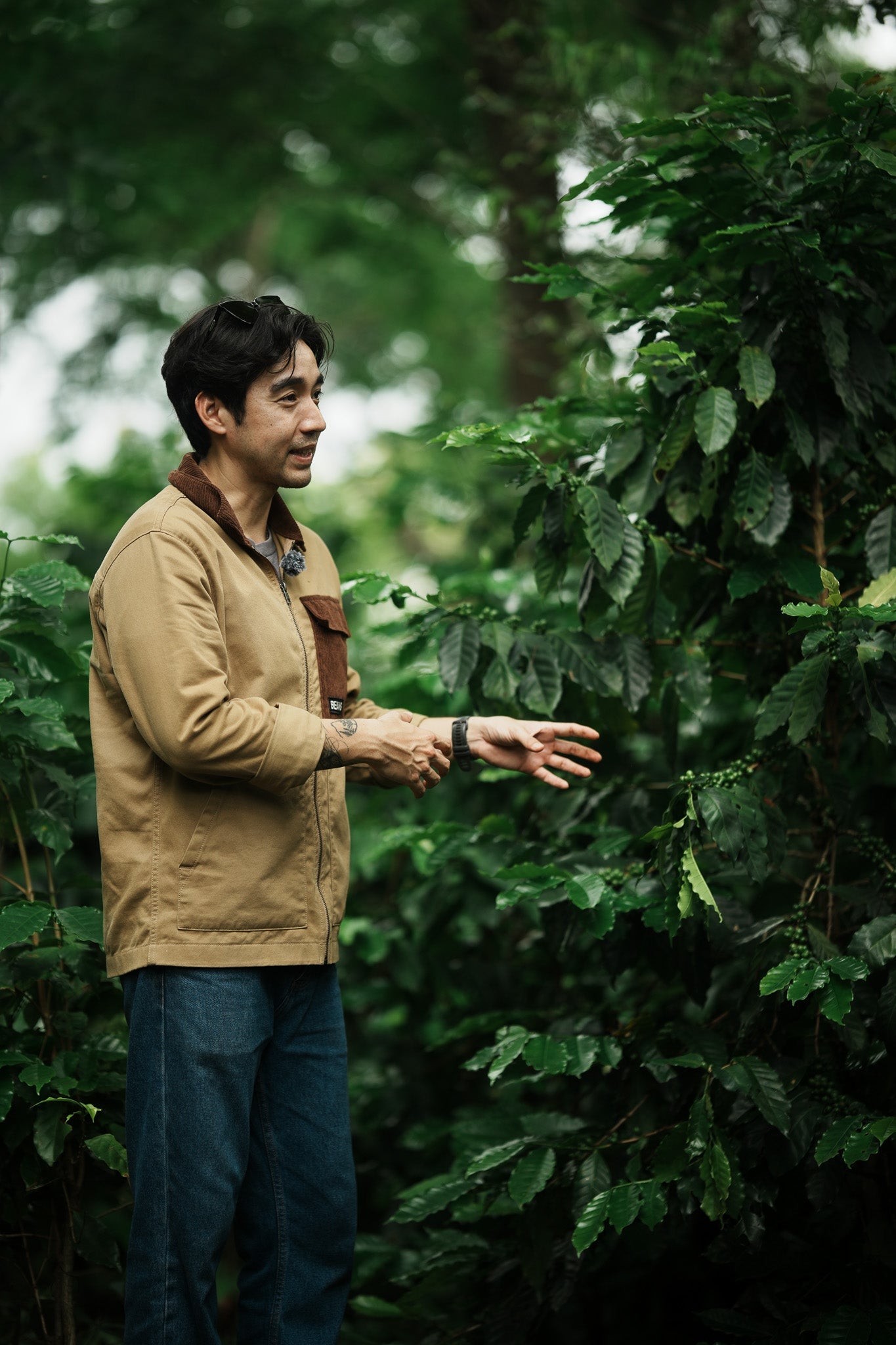 Choosing the Right Variety: When Land Shapes the Coffee